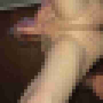 spermaschuss