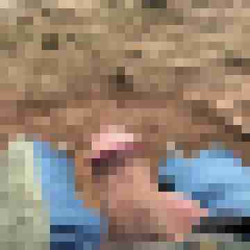 BiML06