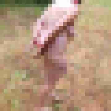 Letsy4u2c
