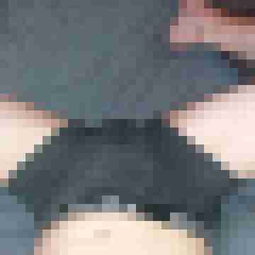 patte83
