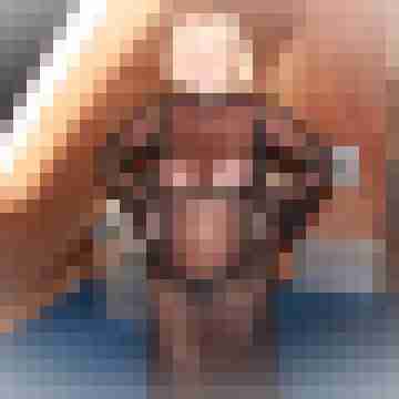 skorstier6368