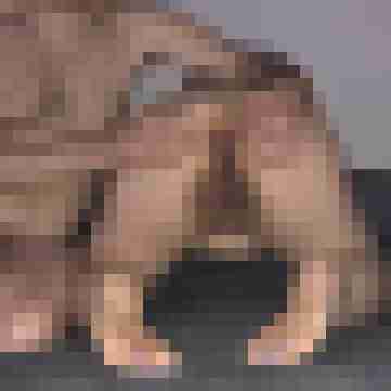 FickSchweine69