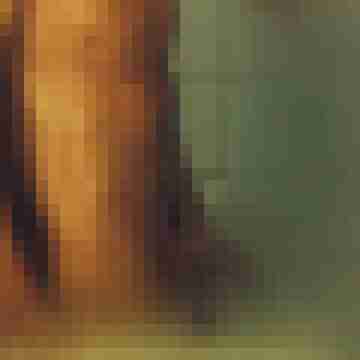 Rammbock24