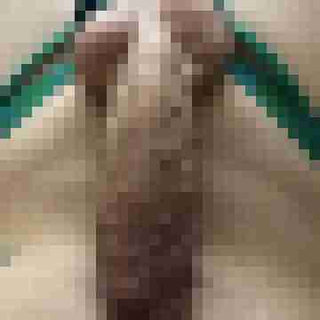 Suedhesse1