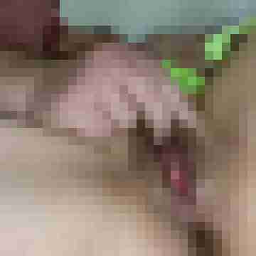 PUM