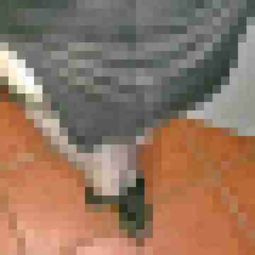 AnaStockings