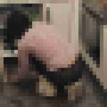 Tom_Bereit