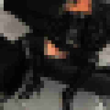 seemann0706