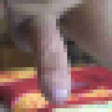 grosser0307