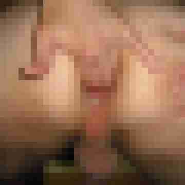 Translover81