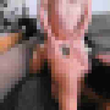 seemann0706