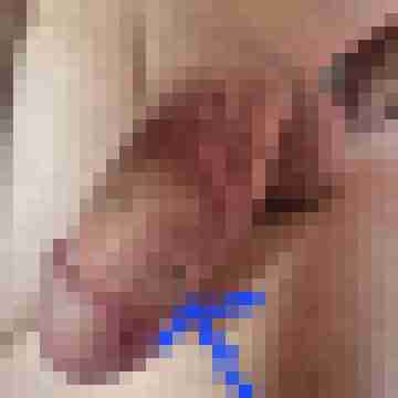 COCK-Lover