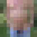 ressip53