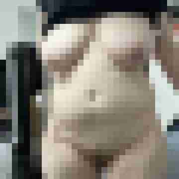 noeggi