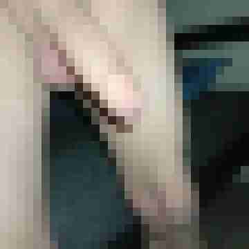 spermaschuss