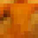 snake_81