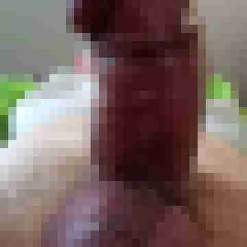Fiene268