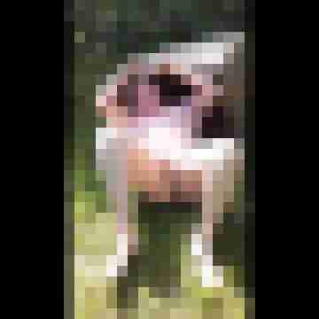 Letsy4u2c
