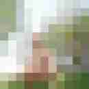 morninglark