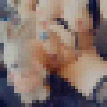 15 Bilder von IceAngelDeluxe-