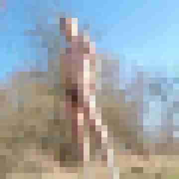 bi-lingam