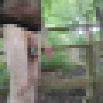 Maunty_01