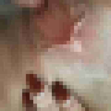 Lutsch-Engel21