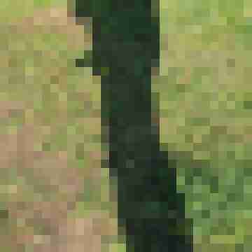 spassmann63