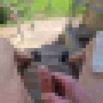 Bertlmuc