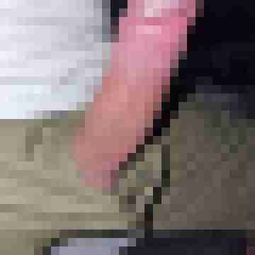 mollyfan46
