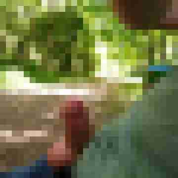 Nacktfrosch-xxl
