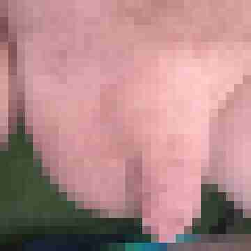 Achim8889