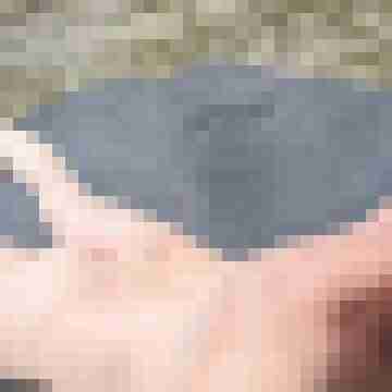 Bobby_249
