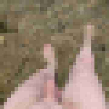 Bobby_249