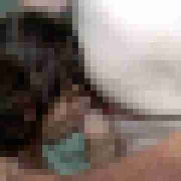 picturefreak