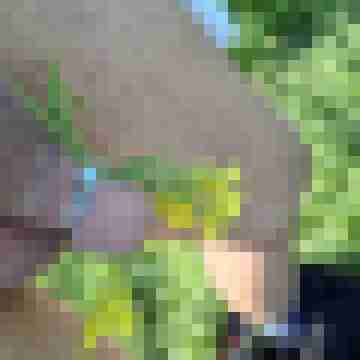 Ralf4711