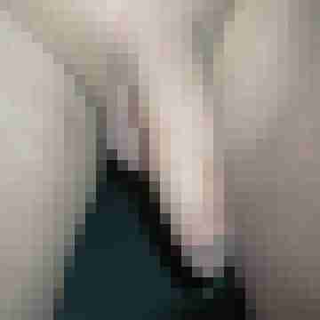 spermaschuss