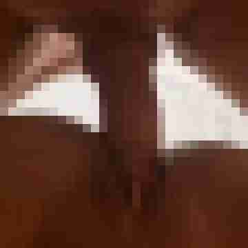 Drifter_CH