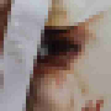 RalleRalf