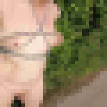 fkkgeil69