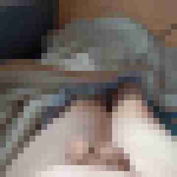 bruba