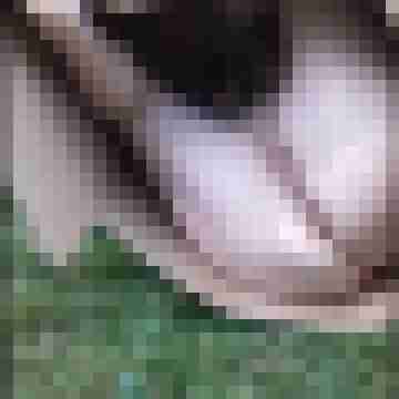 Letsy4u2c
