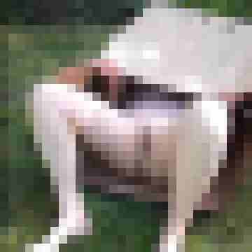 Letsy4u2c
