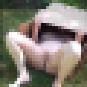 Letsy4u2c