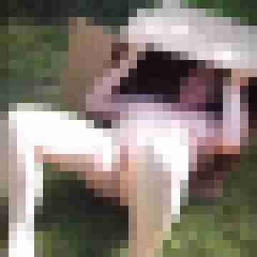 Letsy4u2c