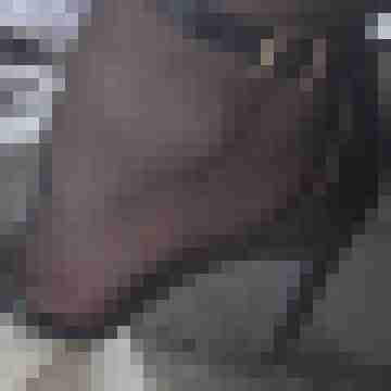 AnSy