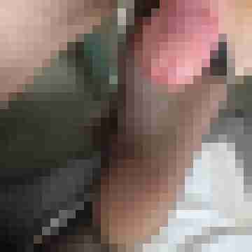 AnSy
