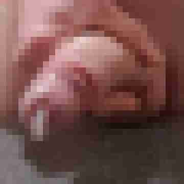 BiLausitzer