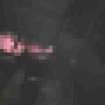 DWT-SissyOL