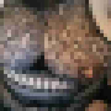 Flieder_14